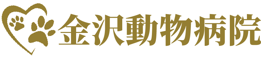 金沢動物病院